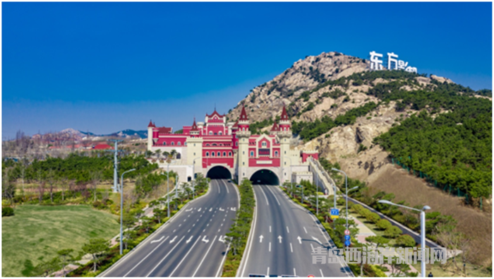 春暖油菜花开!影视旅程带您走进青岛西海岸生态观光园