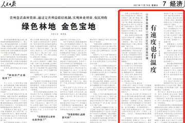 人民日报点赞青岛董家口经济区：优化营商环境，有速度也有温度