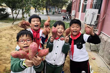 岛城中小学花式劳动课让孩子“吃苦”也快乐