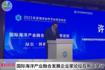 Xin视频｜国际海洋产业融合发展企业家论坛在新区举行