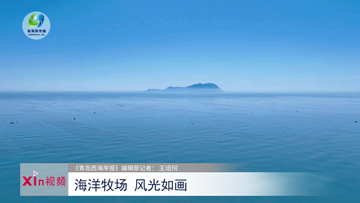 Xin视频｜海洋牧场 风光如画
