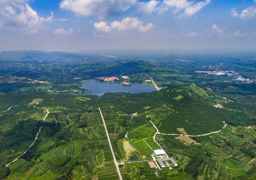 海青镇入选2022年国家级全域森林康养试点建设镇